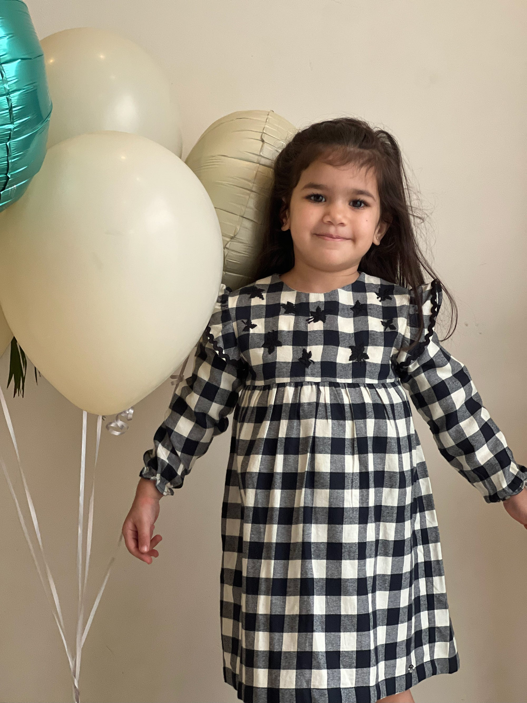 Gingham Embroidered Dress