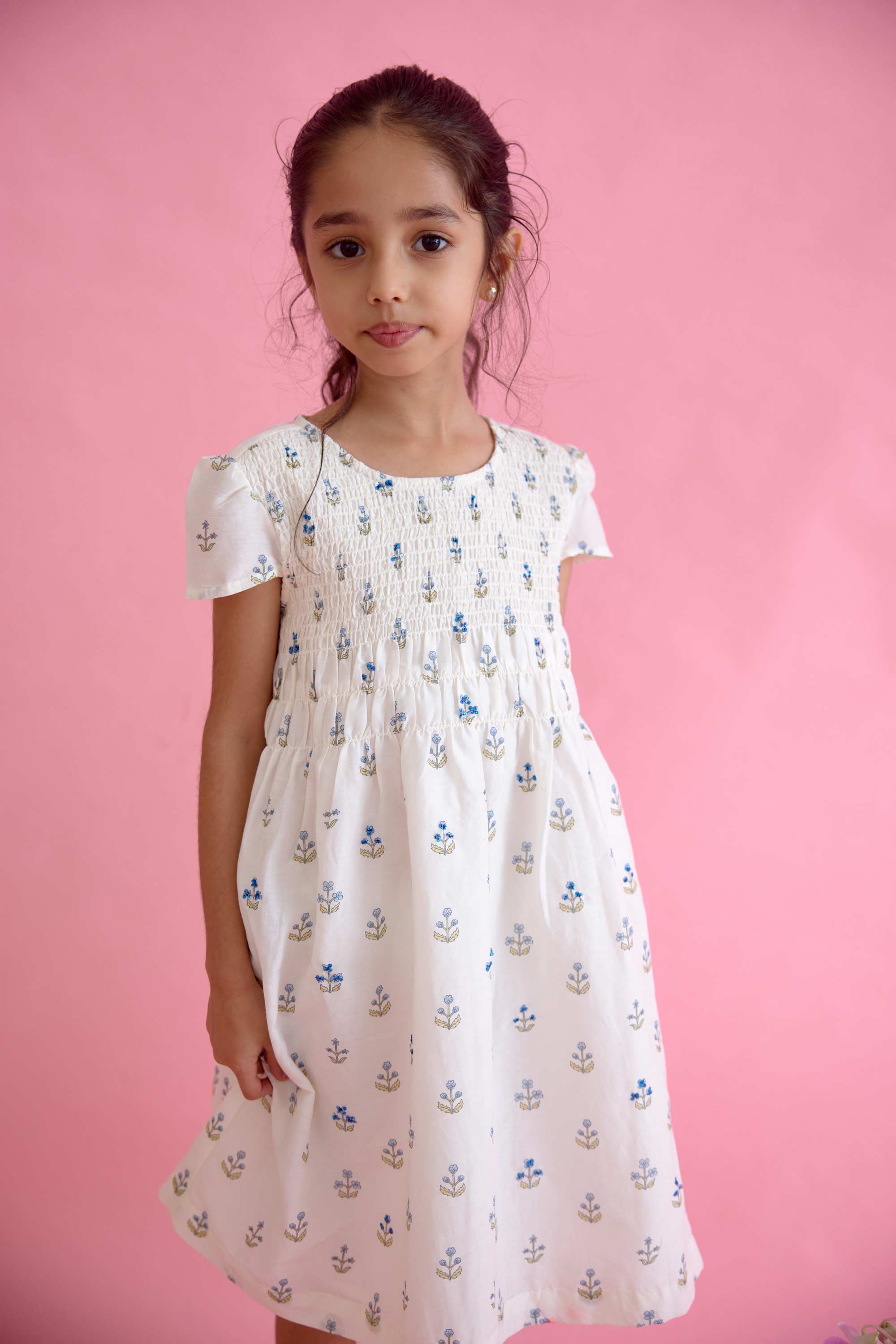 Audubon Dress - Blue Ditsy