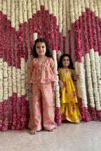 Amrit Sharara  Set - Powder Pink Sher Bagh