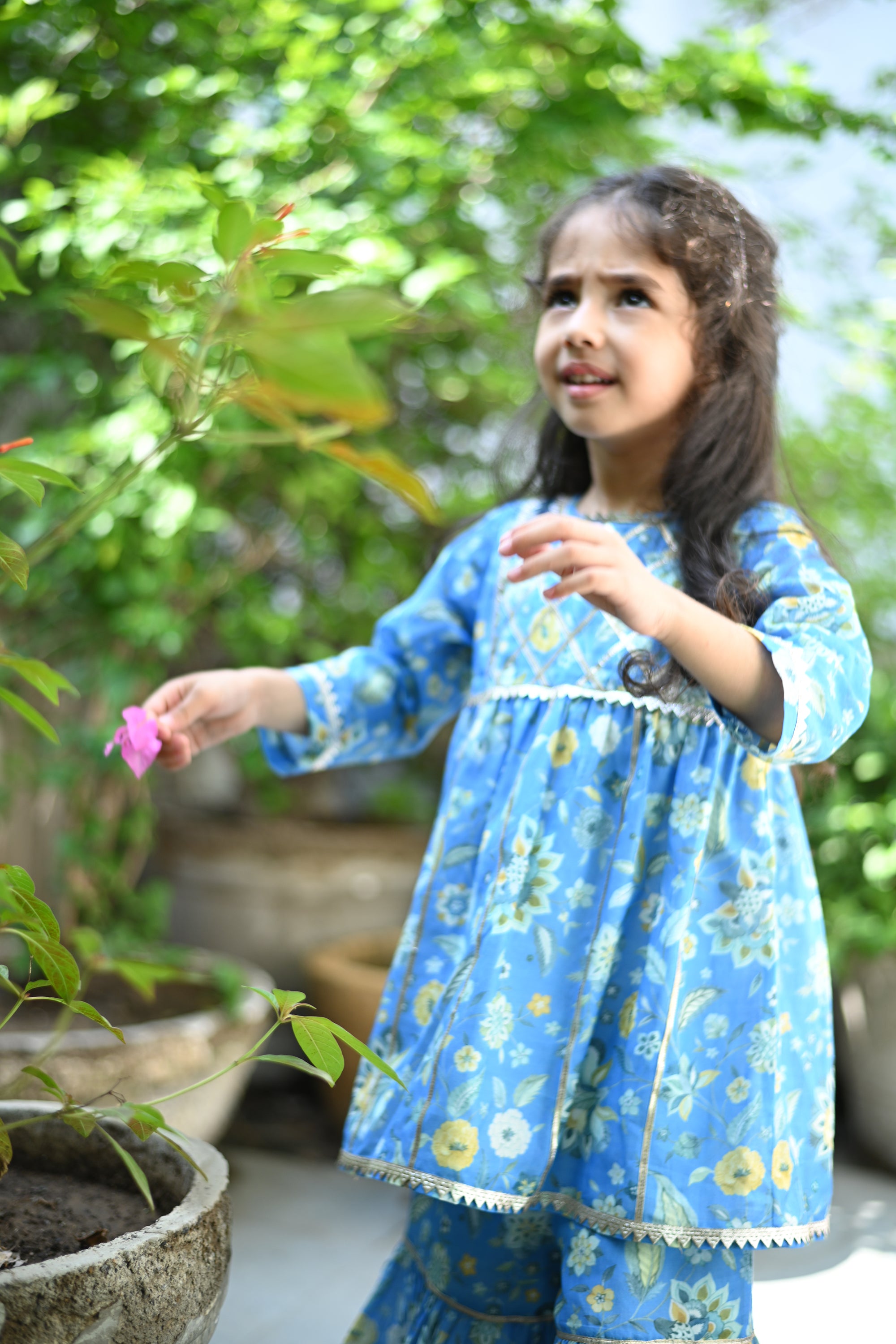 Rhea Gharara Set-Sky Blue Chintz