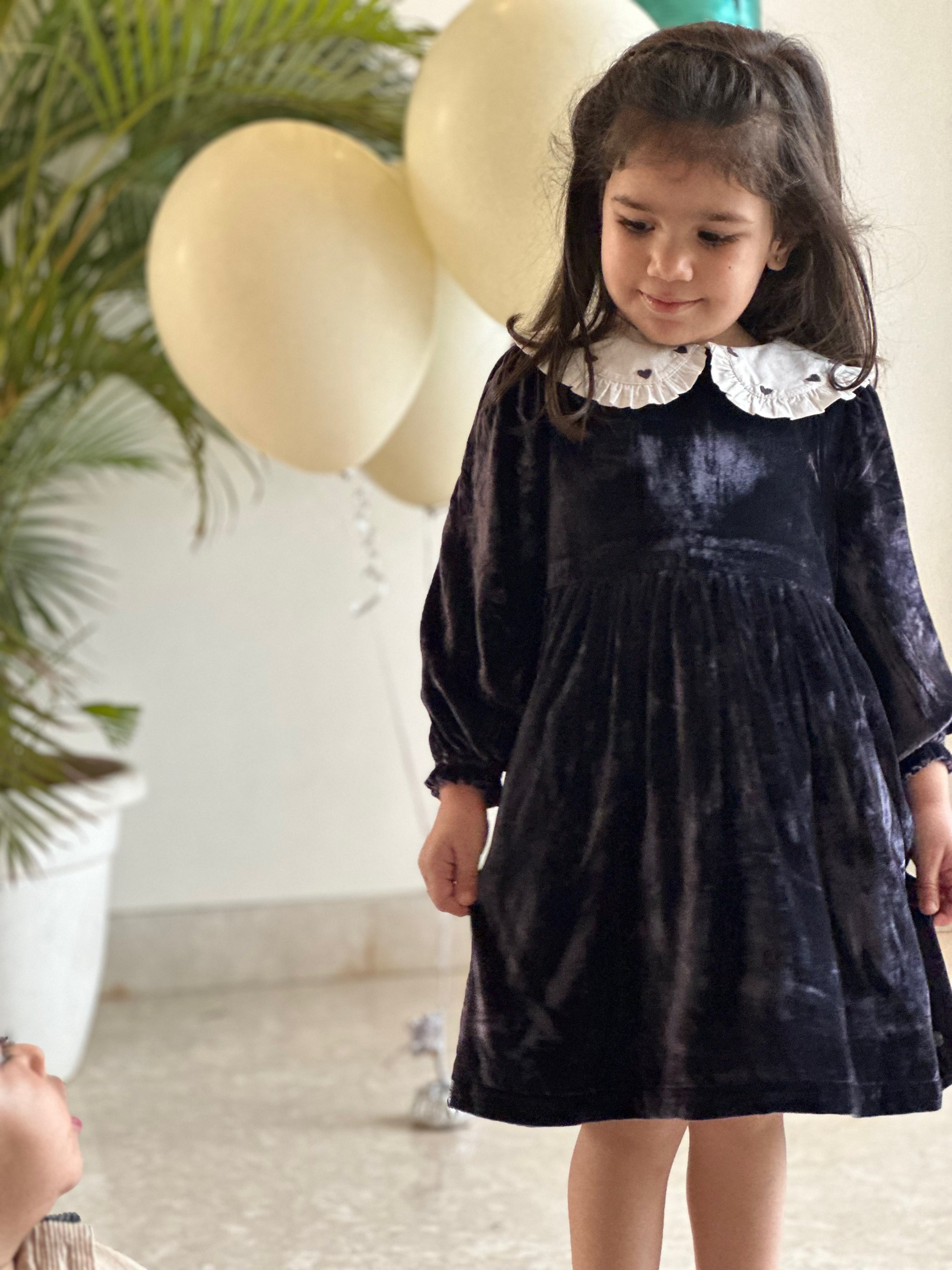 Silk Velvet Collar Dress