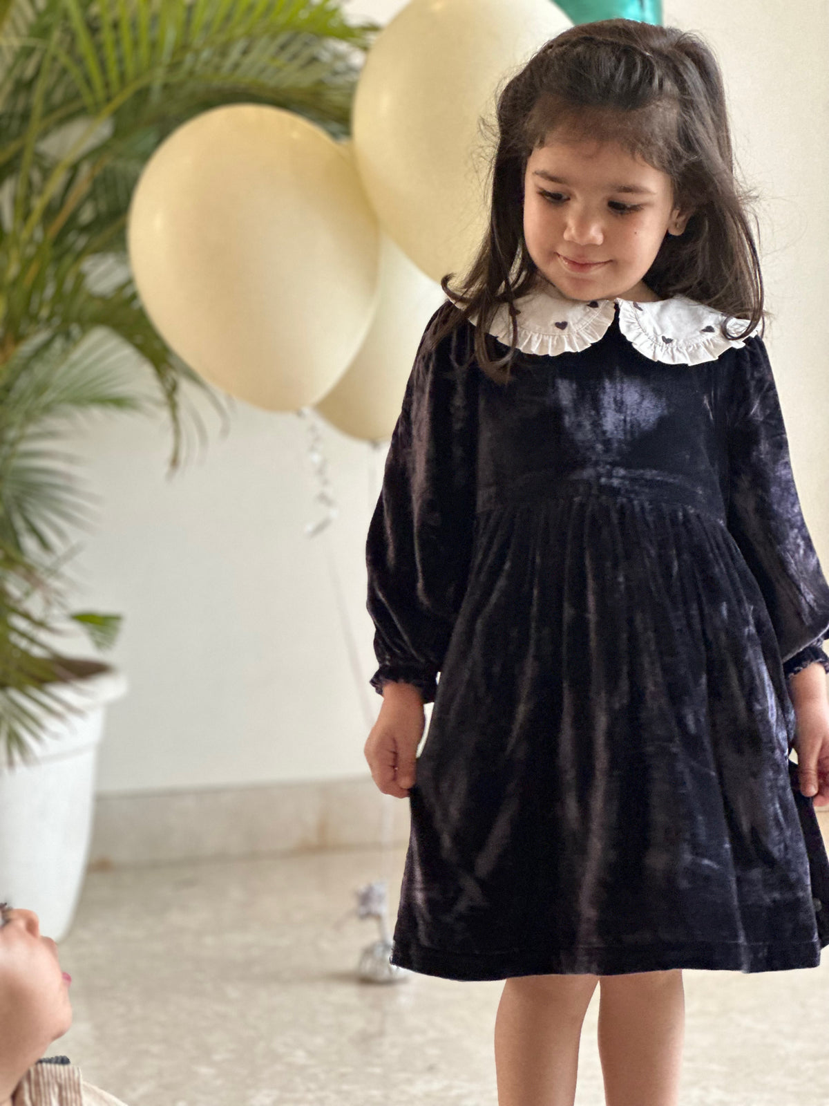 Silk Velvet Collar Dress