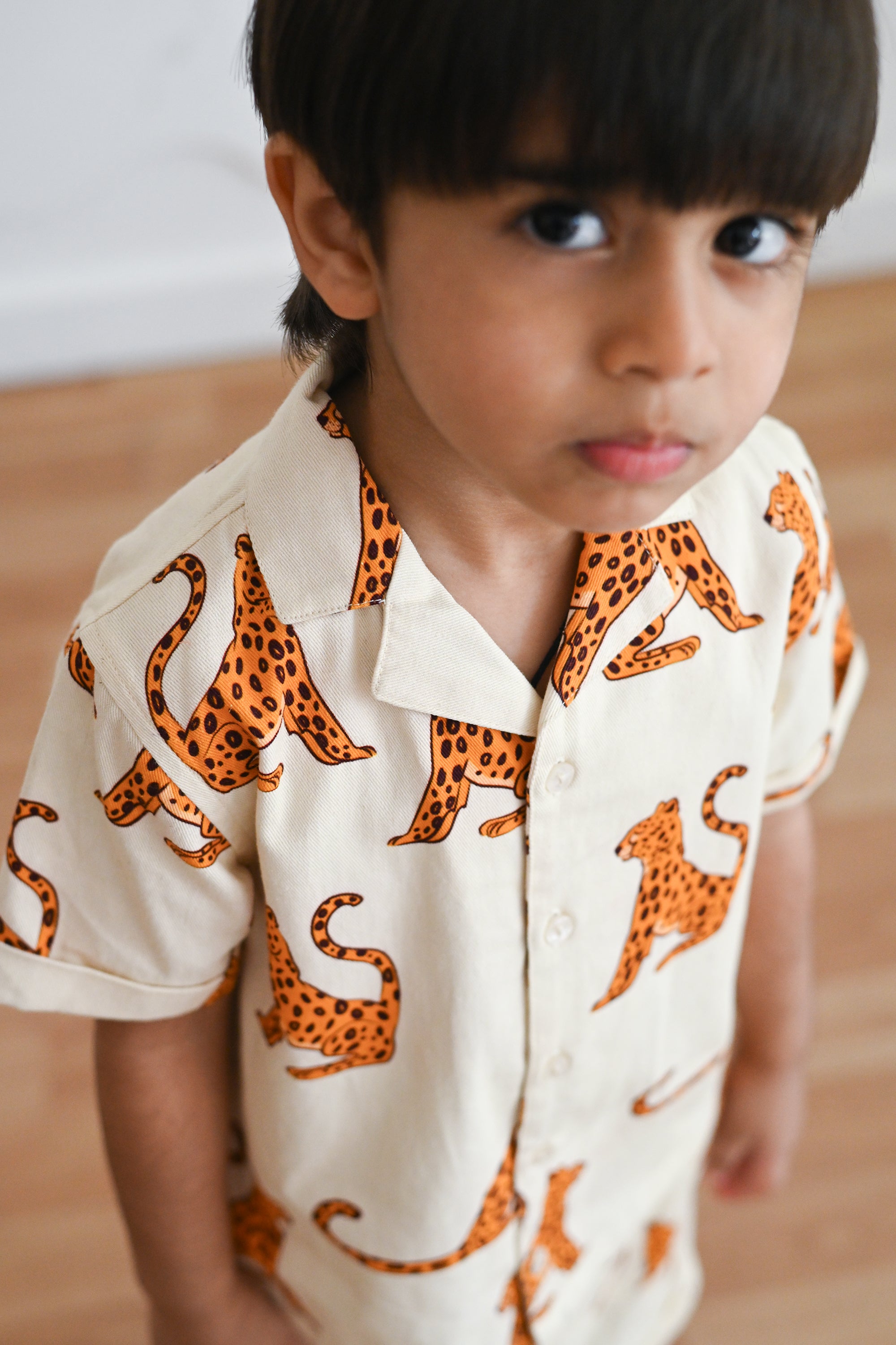 Eyrefield set- White Leo