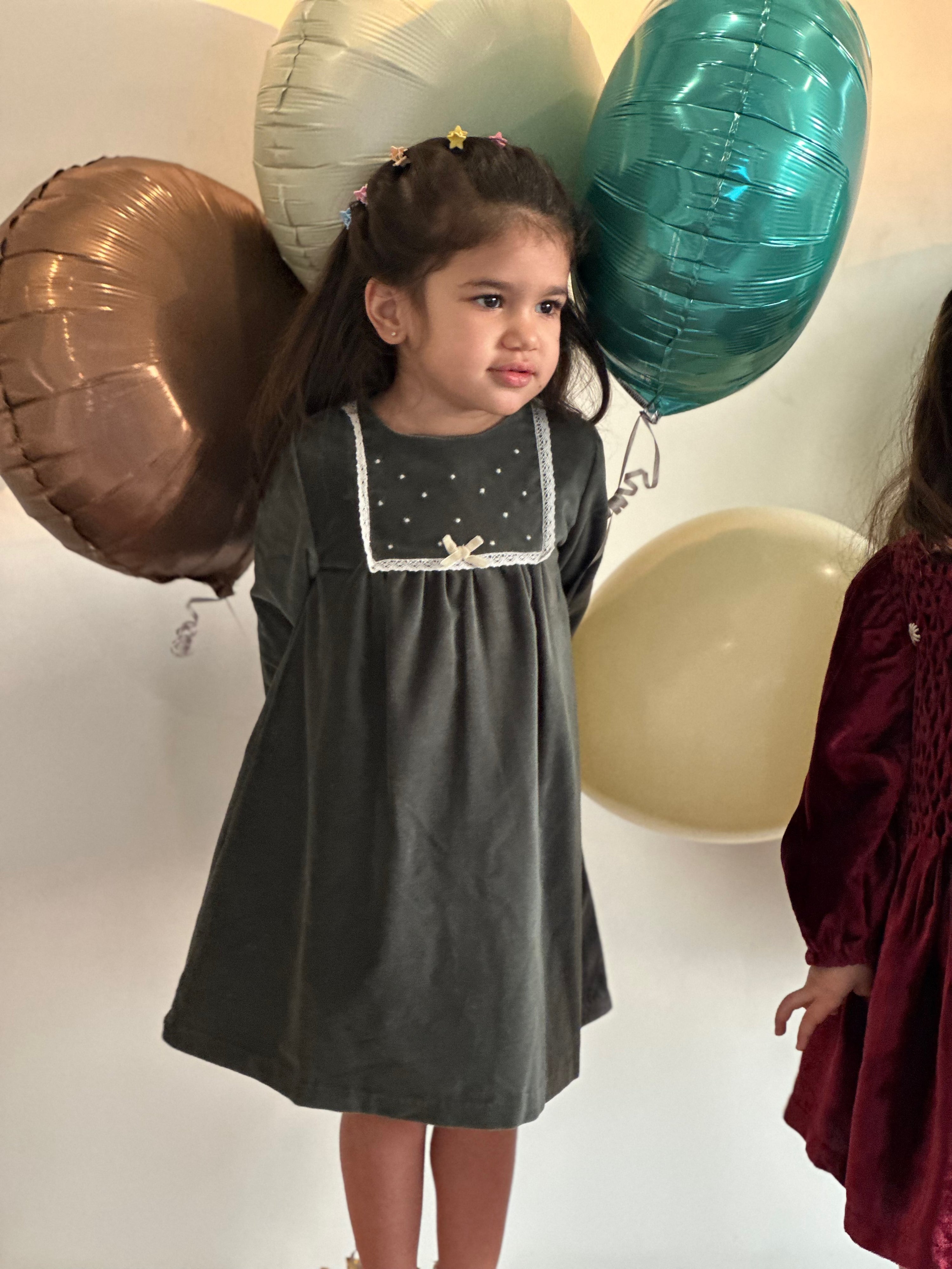 Sage Lace Panel Velvet Dress