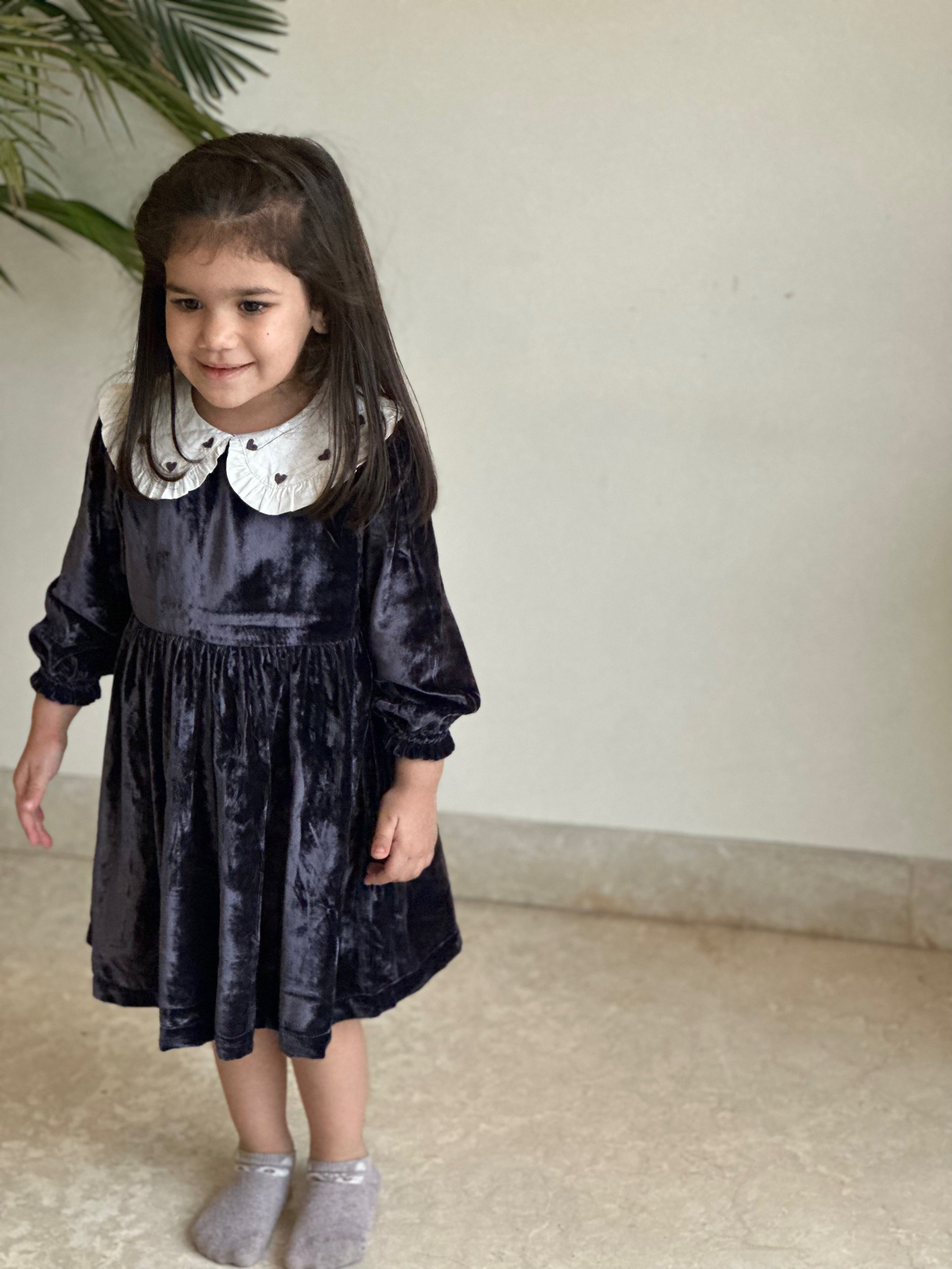 Silk Velvet Collar Dress