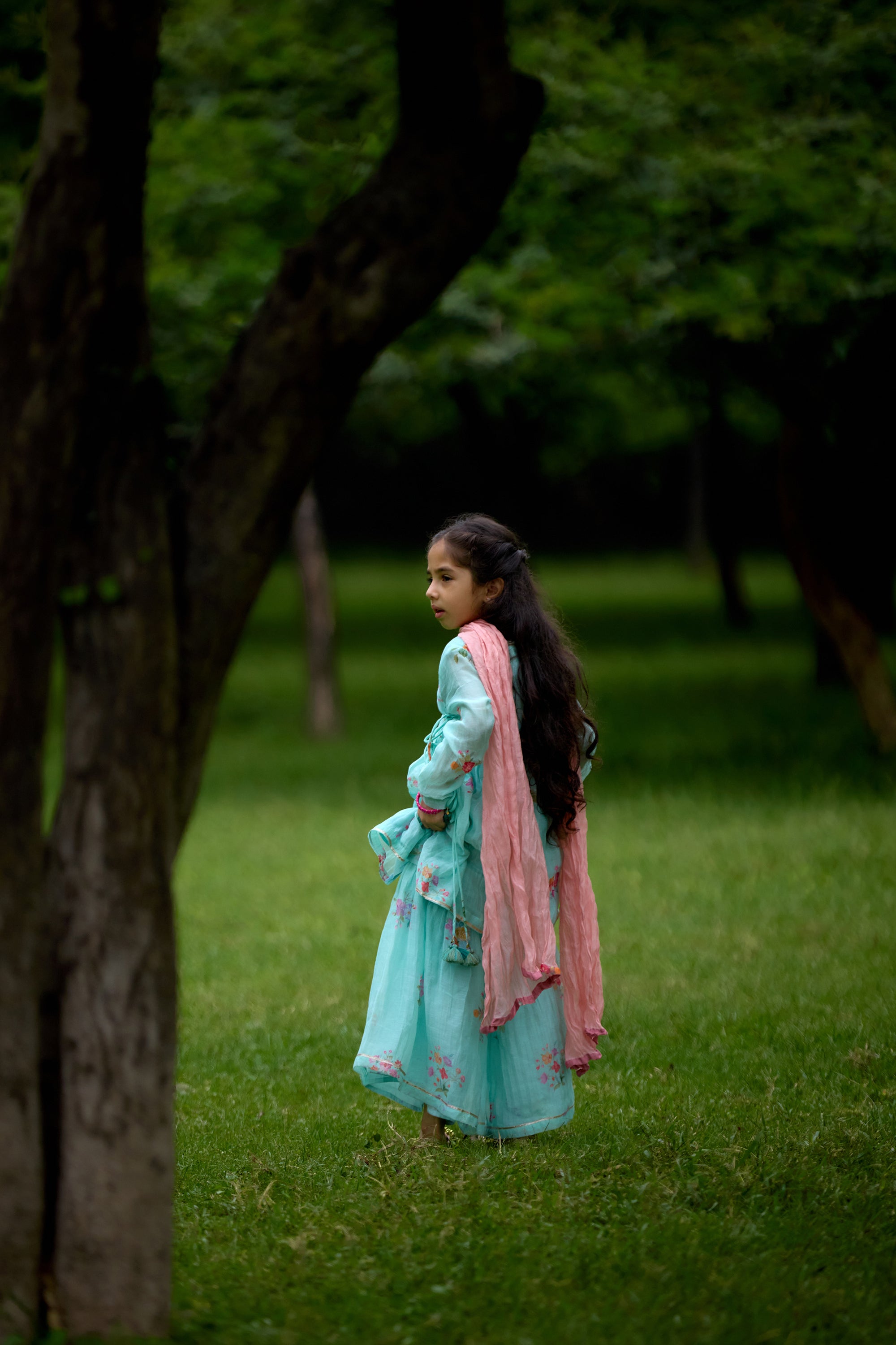 Vayu Chitthi Angrakha