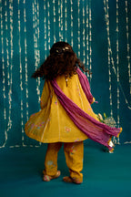 Neembu Chitthi Flared Kurta Set