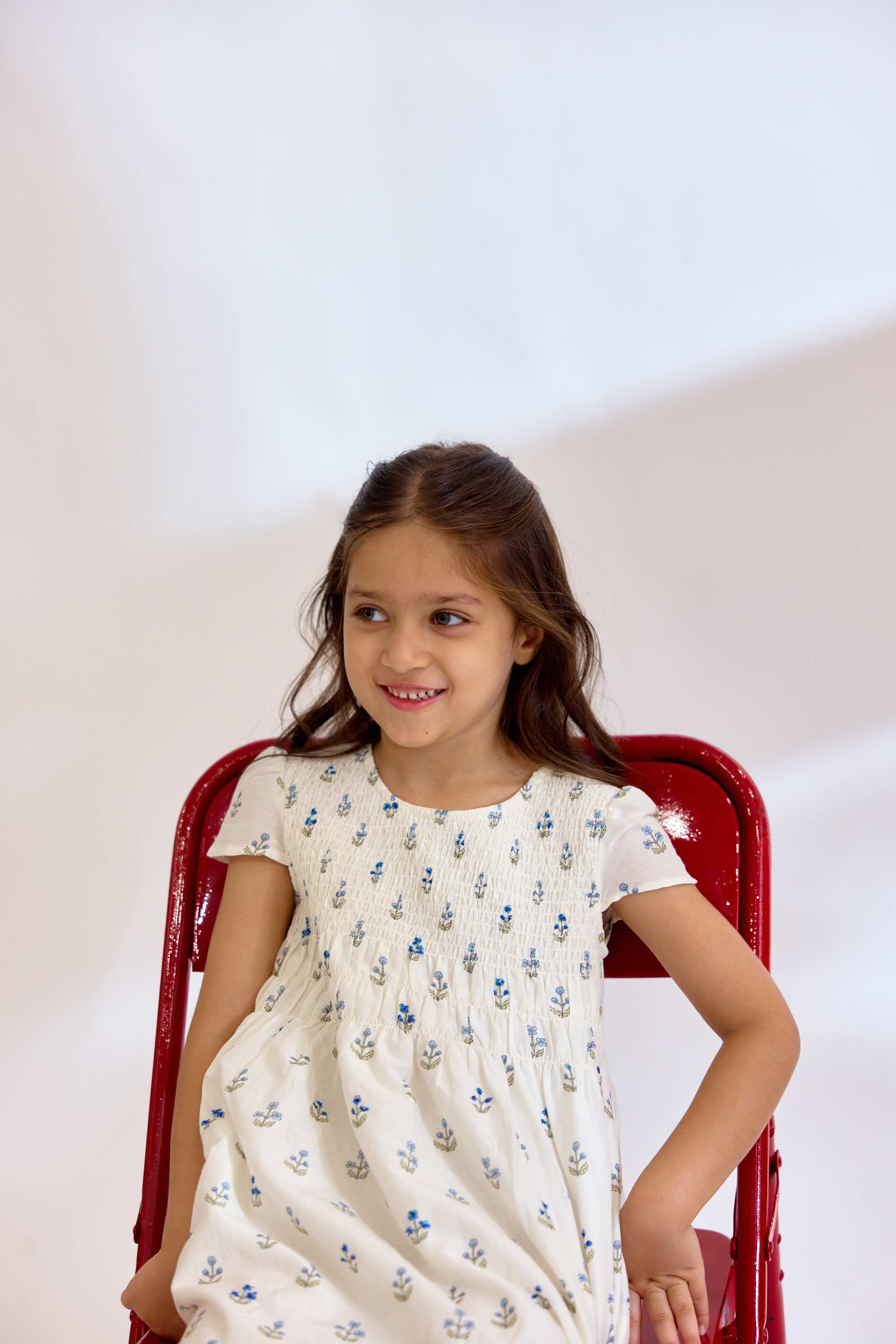 Audubon Dress - Blue Ditsy