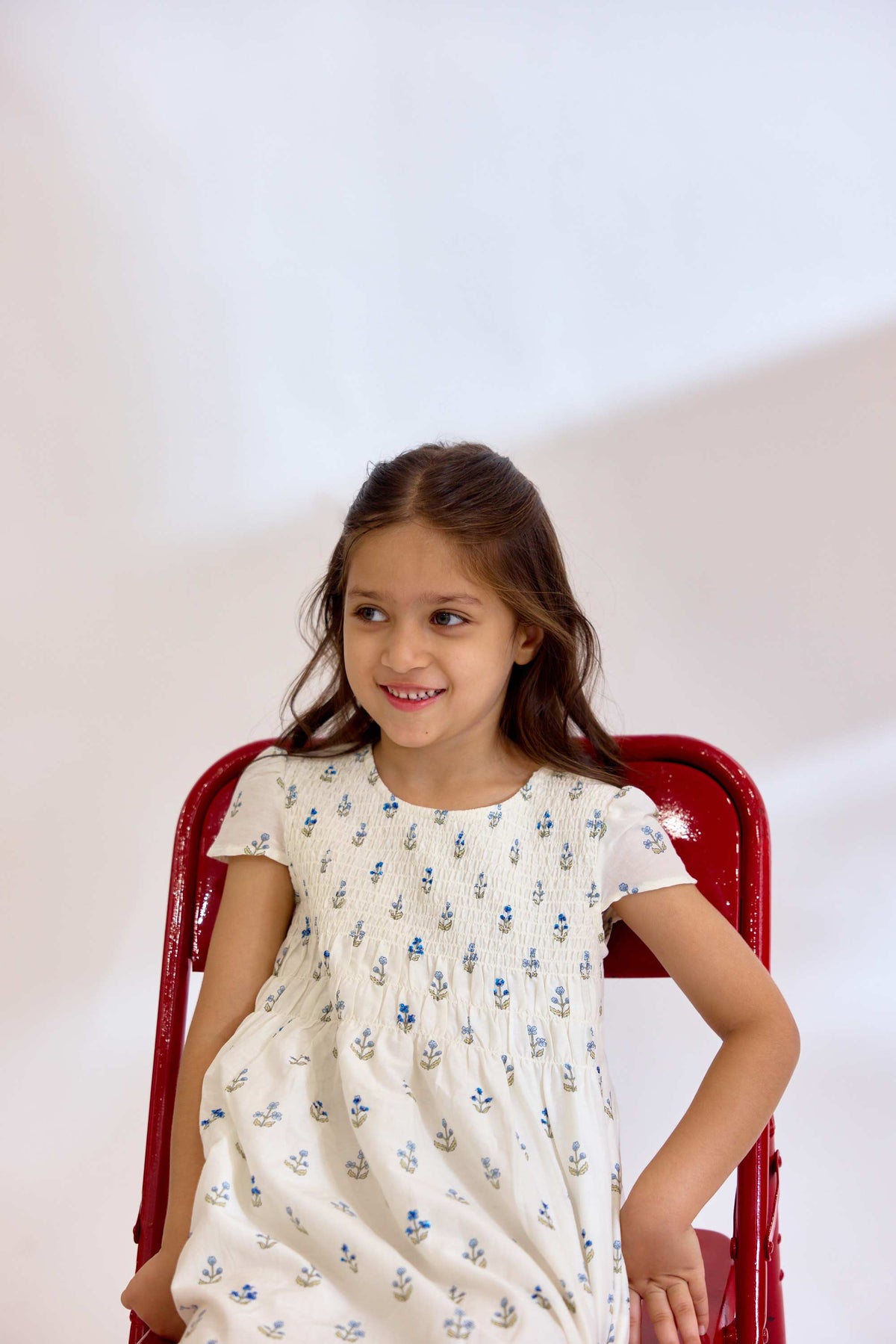 Audubon Dress - Blue Ditsy