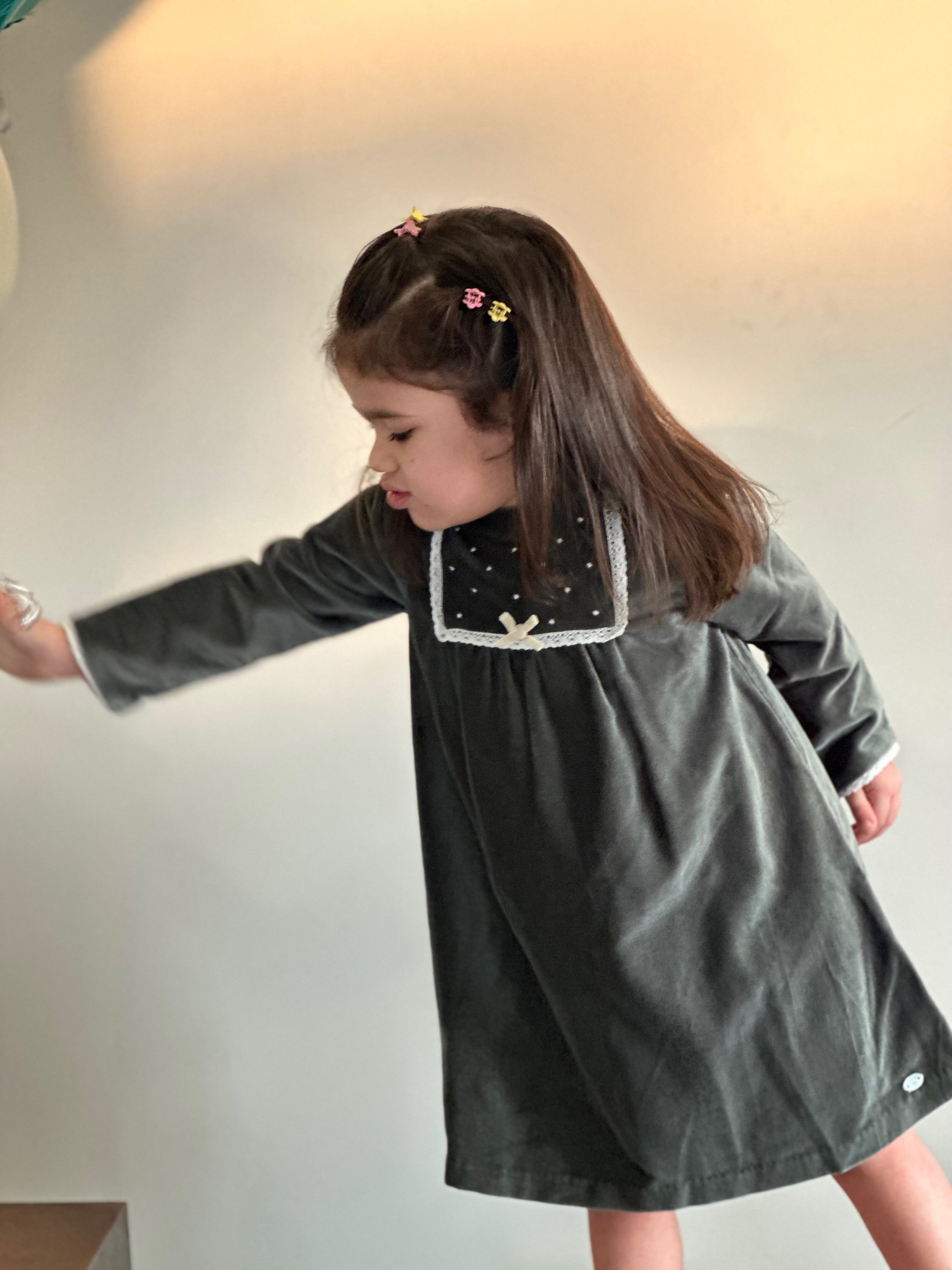 Sage Lace Panel Velvet Dress
