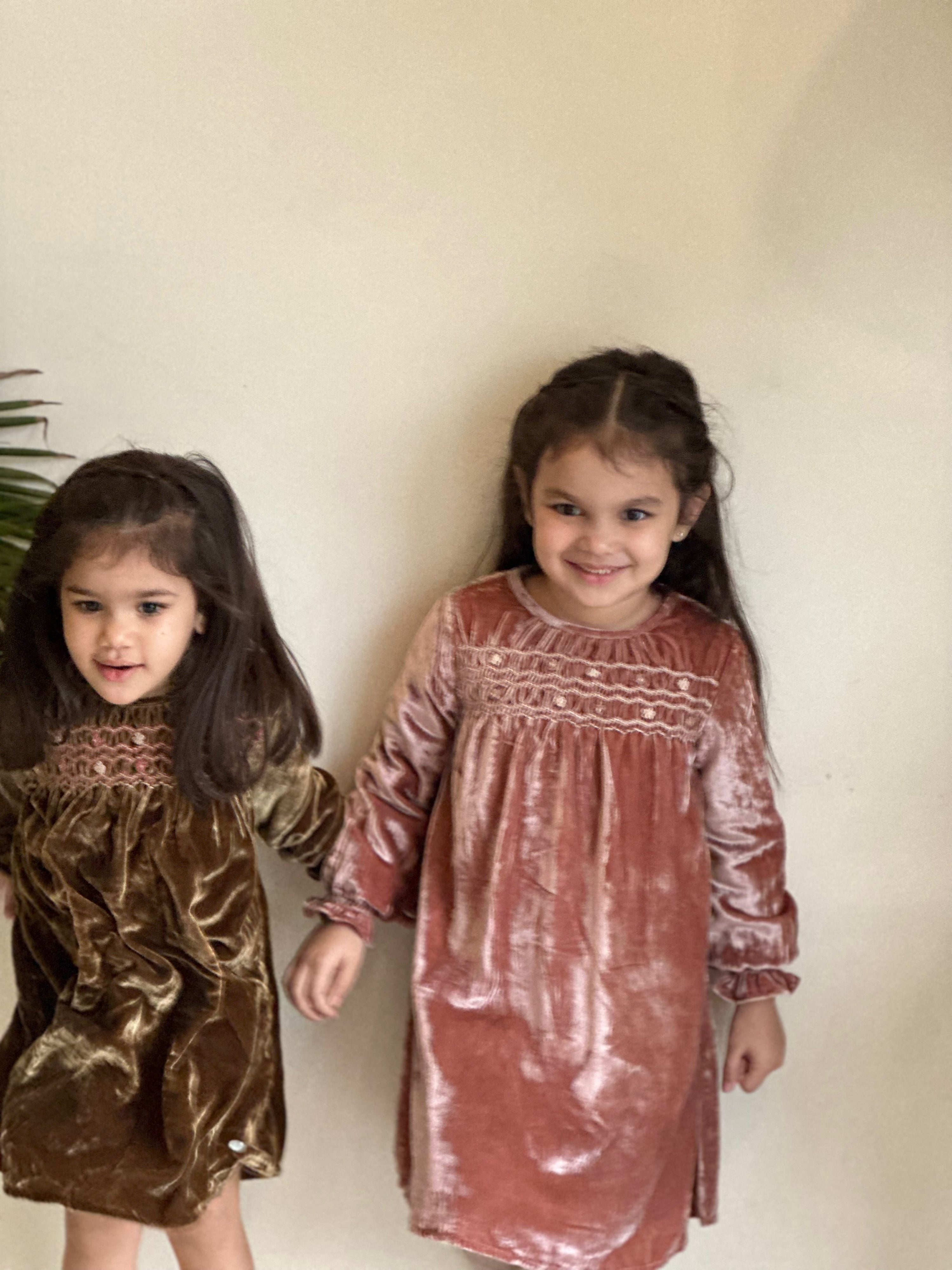 Pink Silk Velvet Smocked Dress