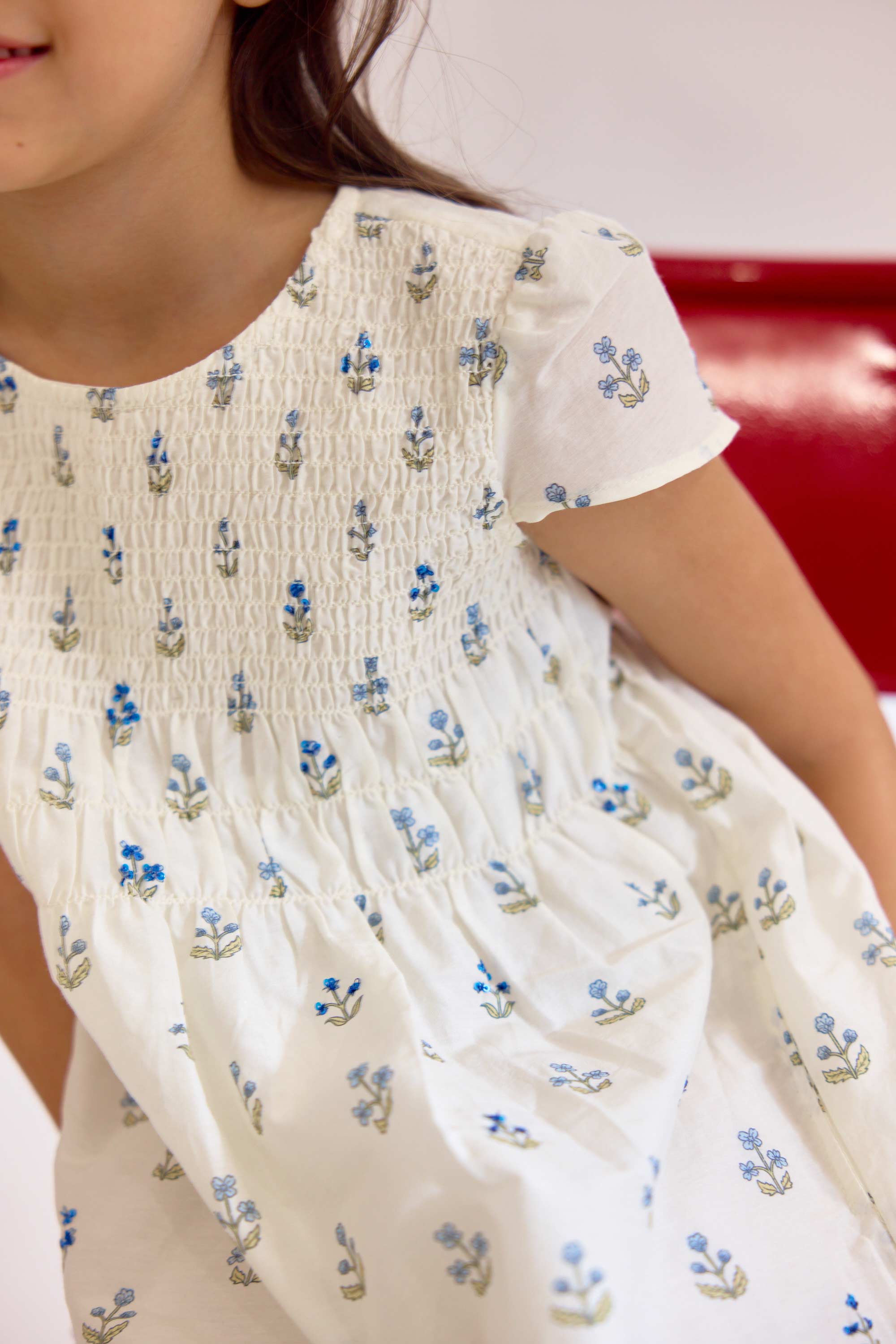 Audubon Dress - Blue Ditsy