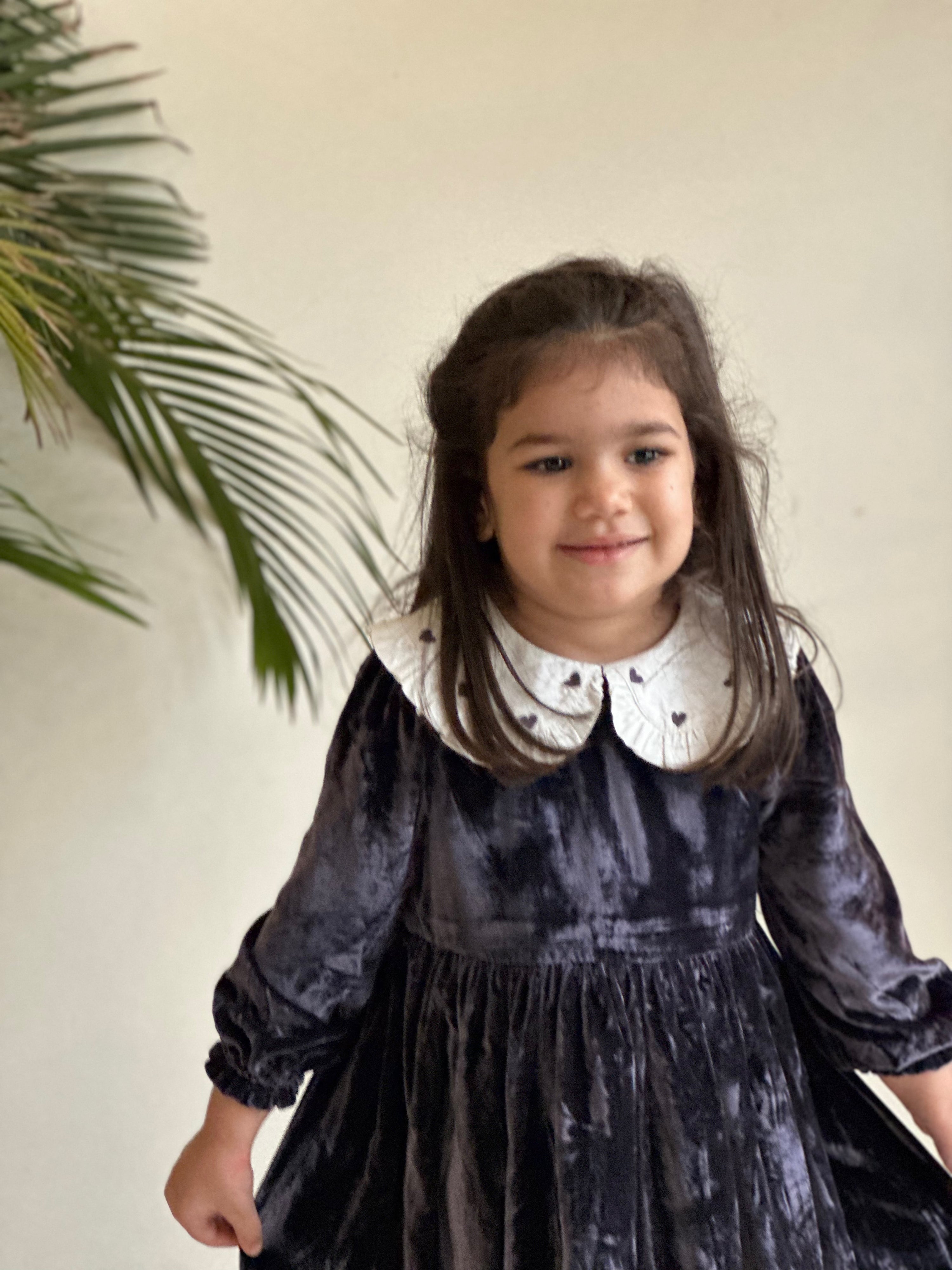 Silk Velvet Collar Dress