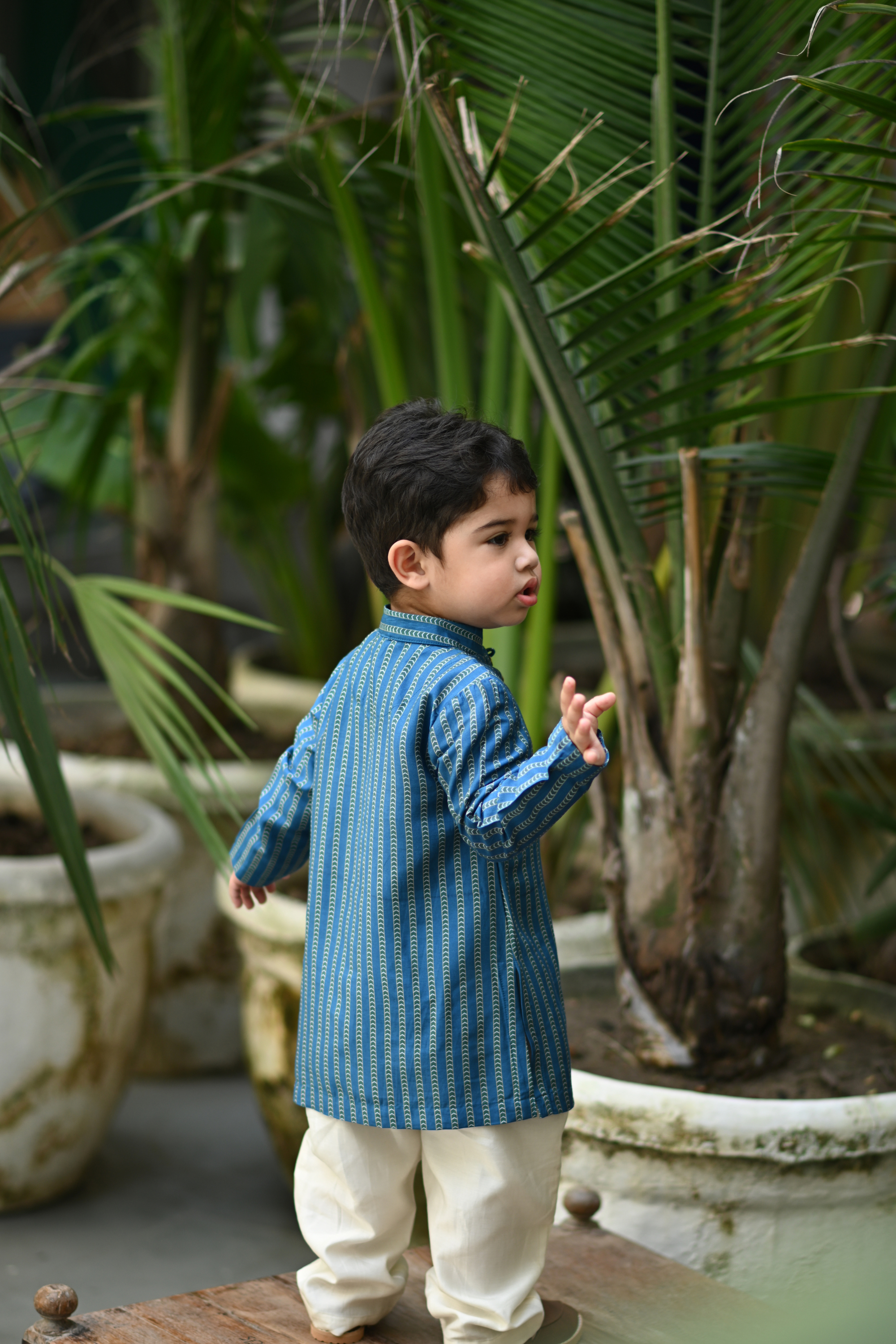 Udayveer Kurta And Pyjama Set- Indigo Stripe