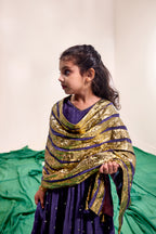 Hoor Lehanga Set
