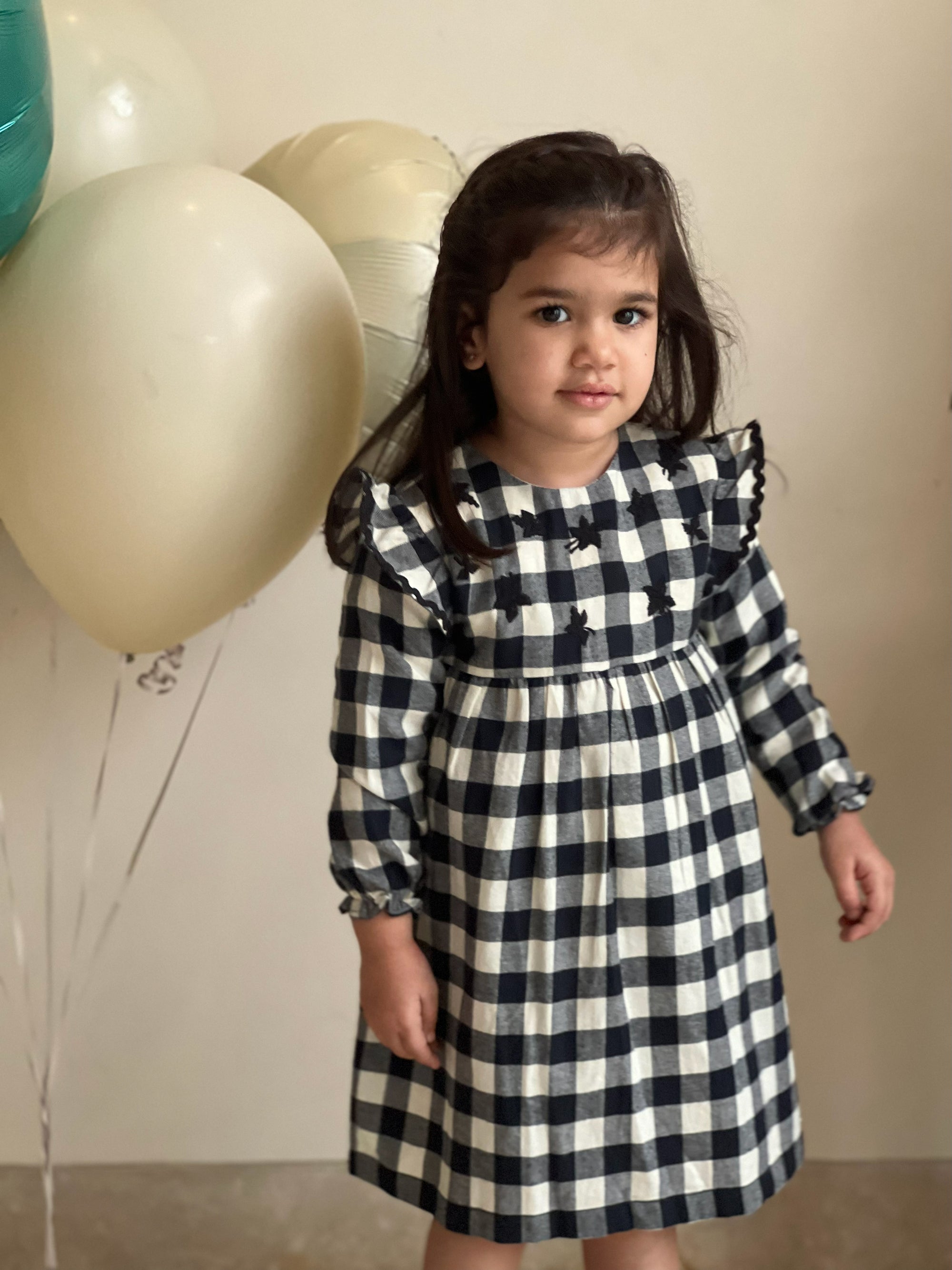 Gingham Embroidered Dress