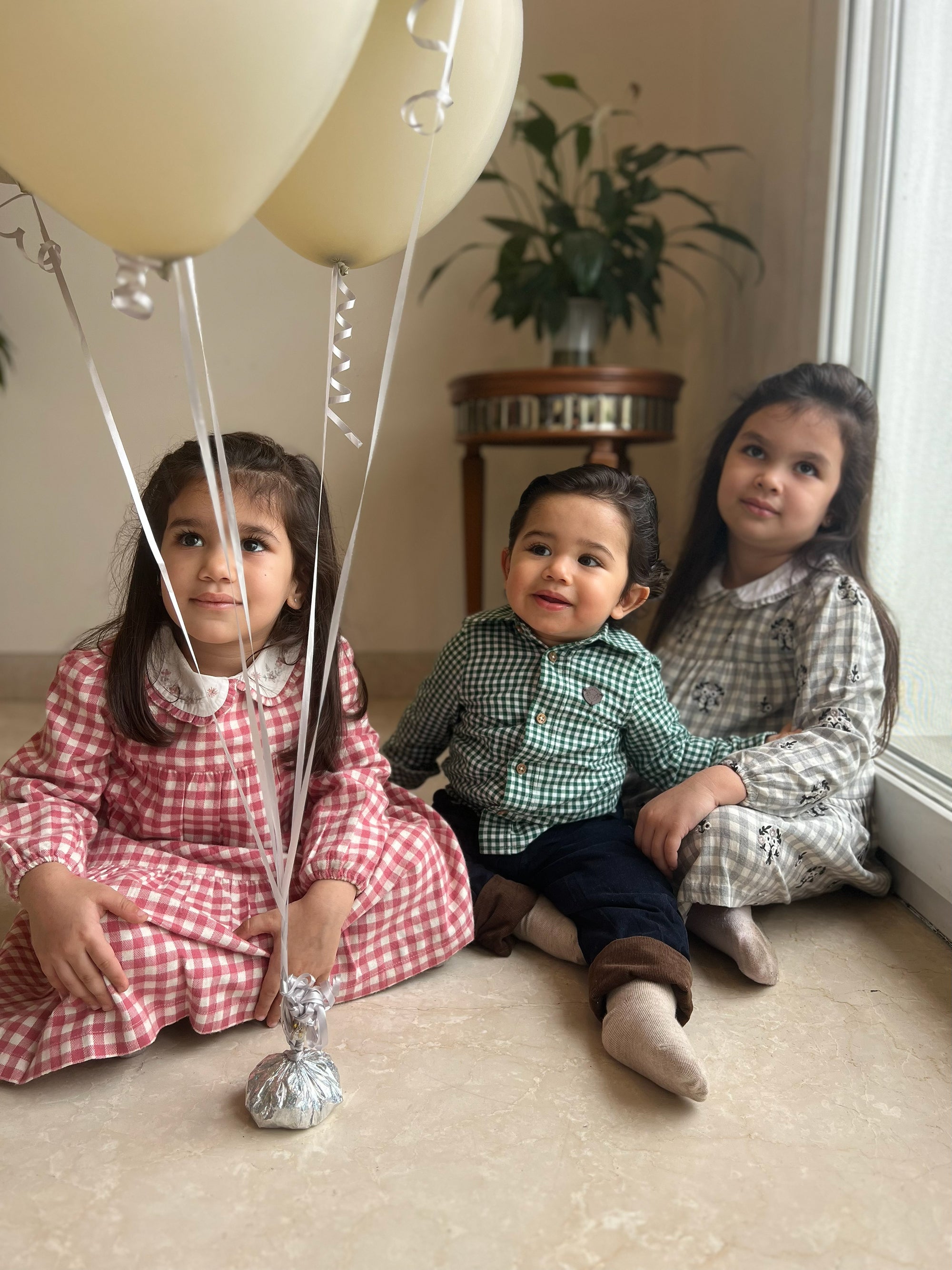 Pink Gingham Embroidered Dress
