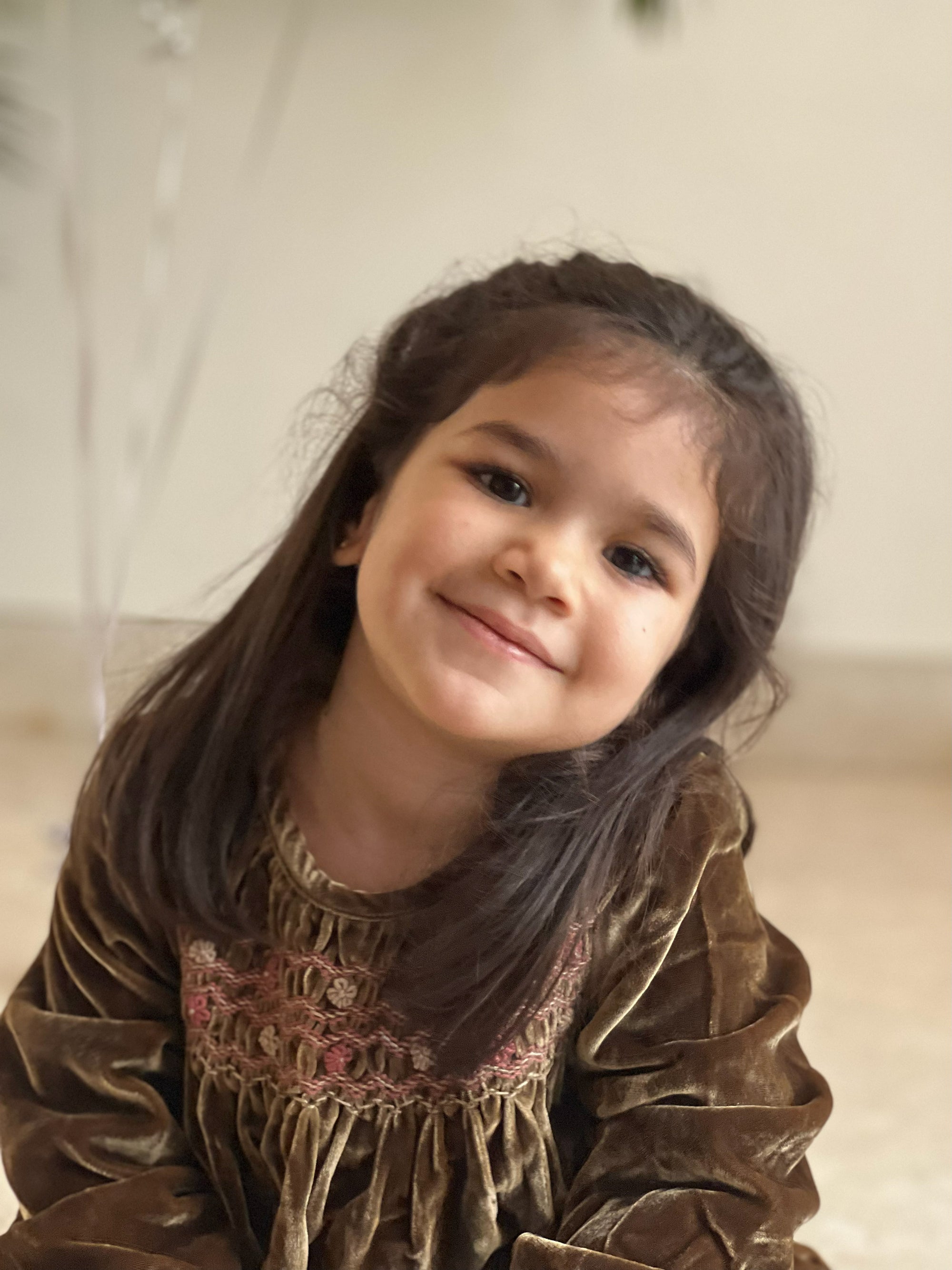 Honey Silk Velvet Smocked Dress