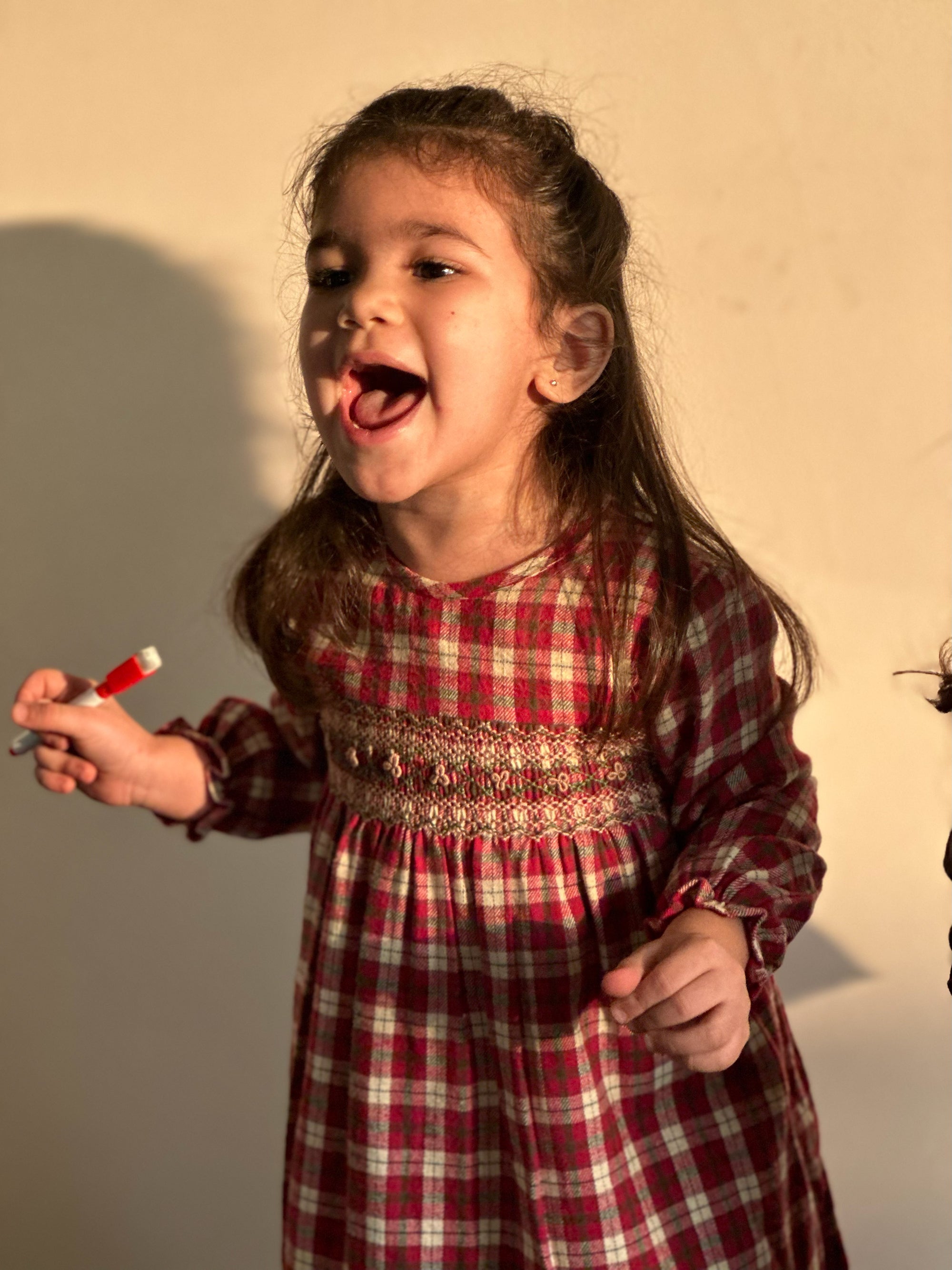 Red Check Chester Dress