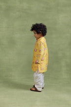 Amaltas Ambari Kurta Set