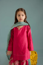 Rani Chandpol Kurta Set