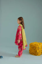 Rani Phulera Peplum Set