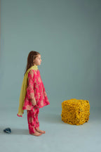 Rani Phulera Peplum Set