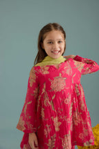 Rani Phulera Peplum Set