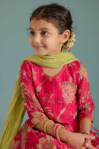 Rani Samode Lehenga Set