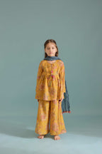 Sarson Jaisalmer Peplum Set